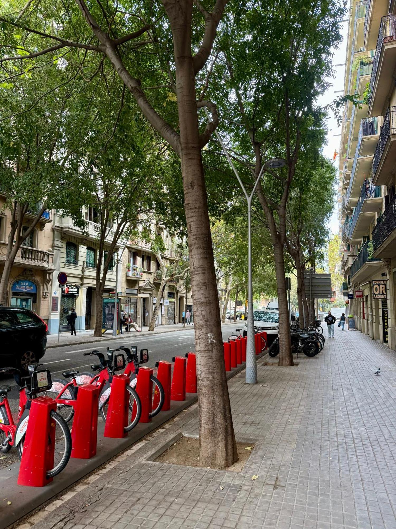 Newly Renovated Stylish Eixample - Great Location Barcelona Buitenkant foto
